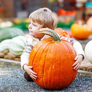 Check out our list of corn mazes & pumpkin patches